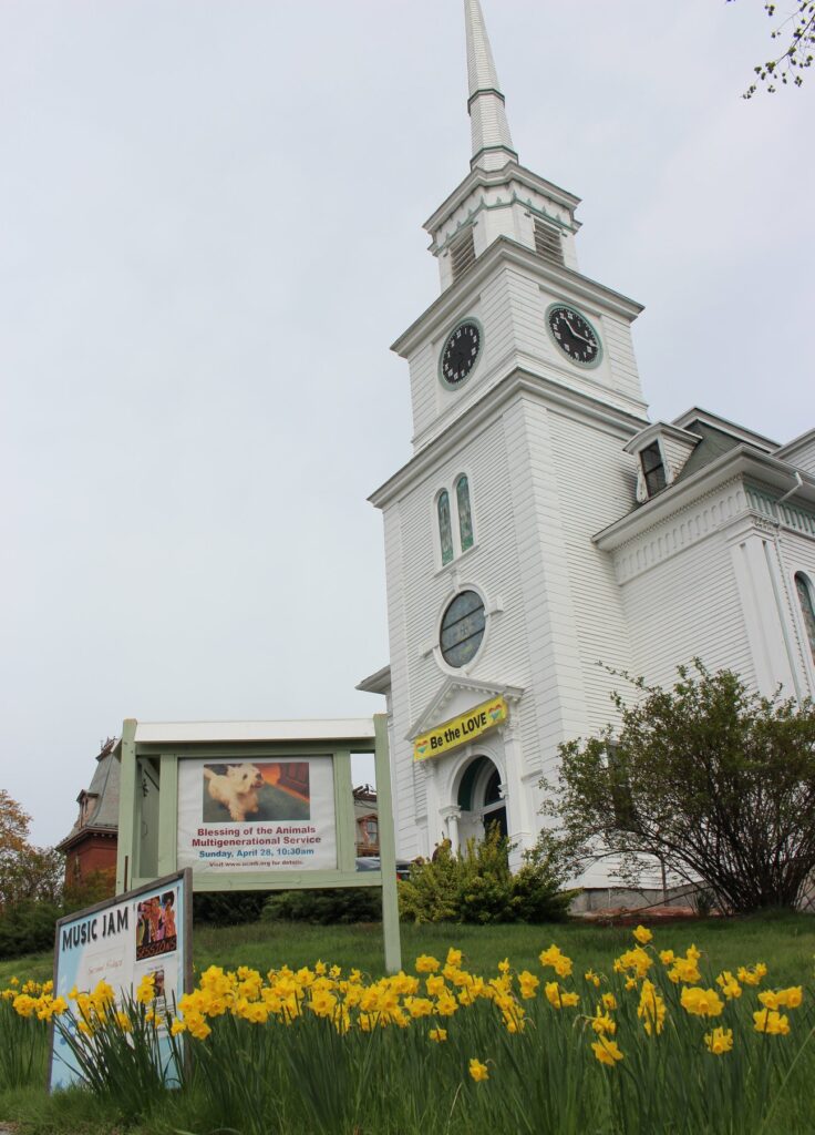 ucmh_daffodils